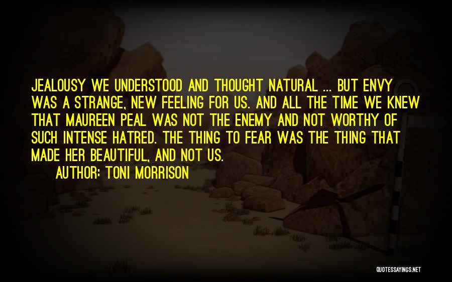 Not Feeling Worthy Quotes By Toni Morrison