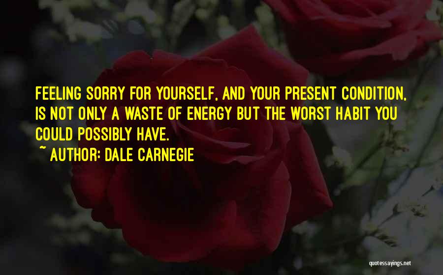 Not Feeling Yourself Quotes By Dale Carnegie