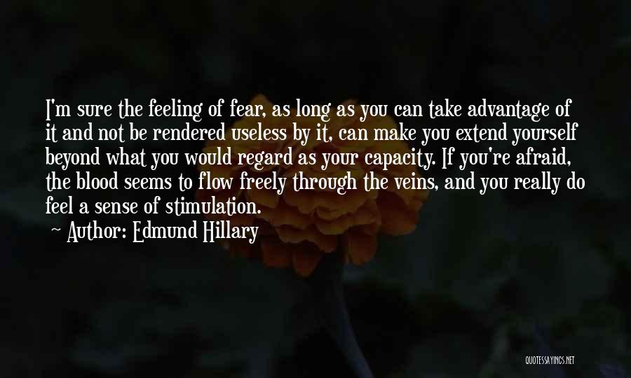 Not Feeling Yourself Quotes By Edmund Hillary