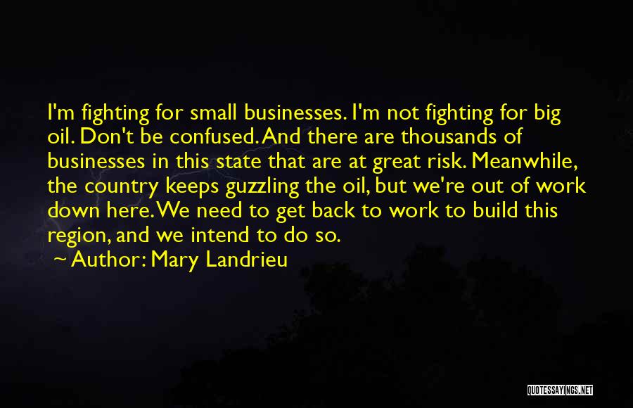 Not Fighting Back Quotes By Mary Landrieu