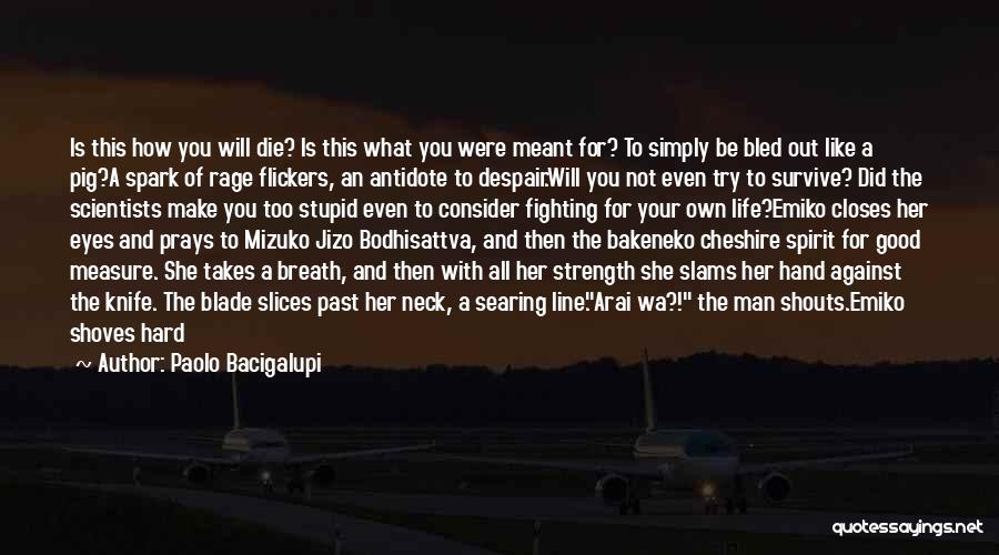 Not Fighting Back Quotes By Paolo Bacigalupi