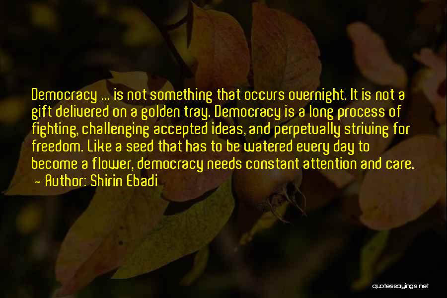 Not Fighting For Attention Quotes By Shirin Ebadi