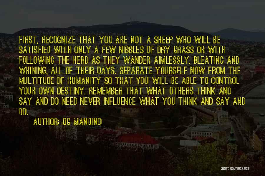 Not Following Others Quotes By Og Mandino