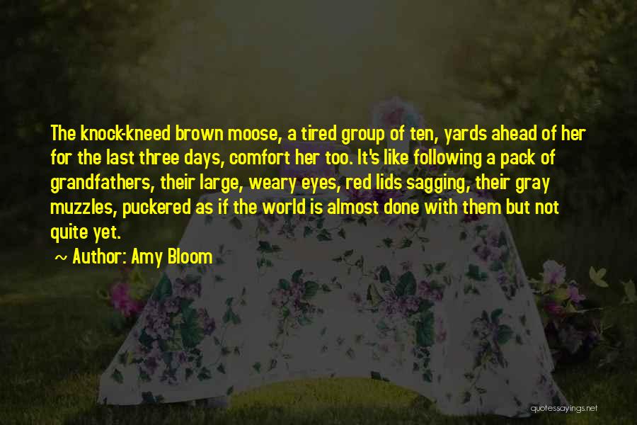 Not Following The Pack Quotes By Amy Bloom