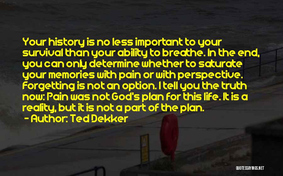 Not Forgetting History Quotes By Ted Dekker
