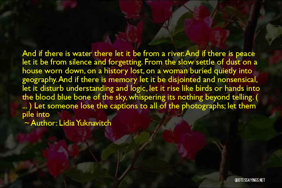 Not Forgetting The Past But Moving On Quotes By Lidia Yuknavitch