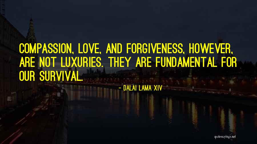 Not Forgiveness Quotes By Dalai Lama XIV Not Forgiveness Quotes By Dalai Lama XIV