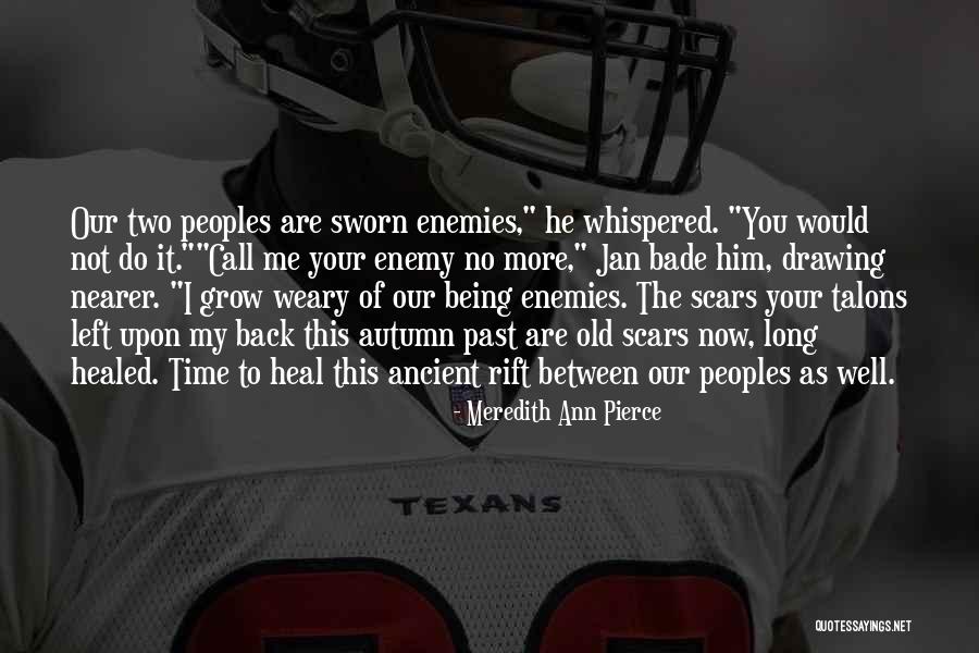 Not Forgiveness Quotes By Meredith Ann Pierce Not Forgiveness Quotes By Meredith Ann Pierce