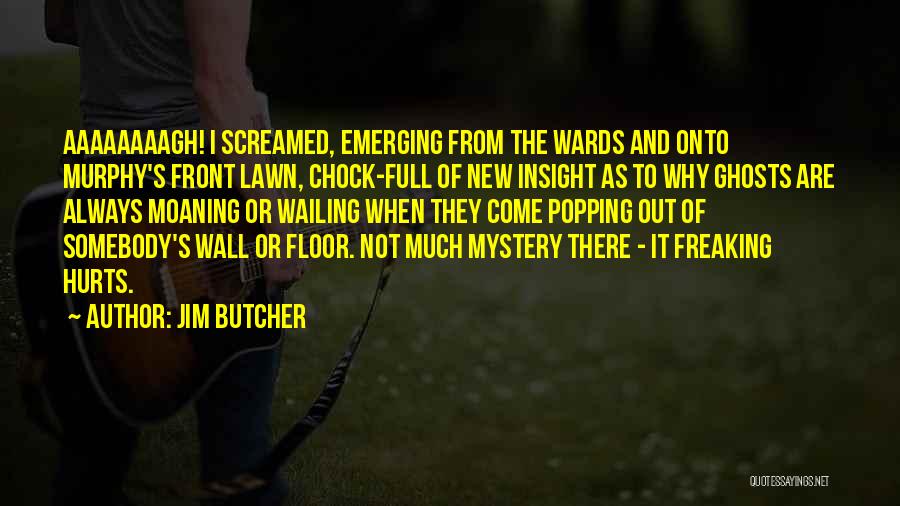 Not Freaking Out Quotes By Jim Butcher