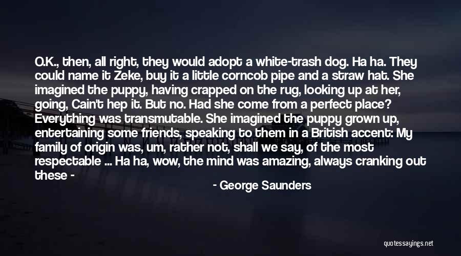 Not Friends But Family Quotes By George Saunders Not Friends But Family Quotes By George Saunders