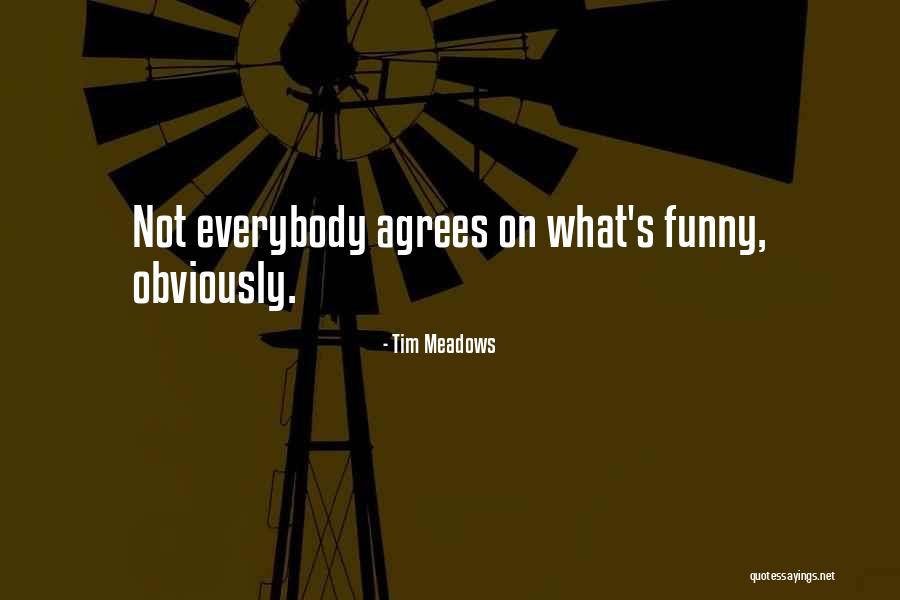 Not Funny Quotes By Tim Meadows