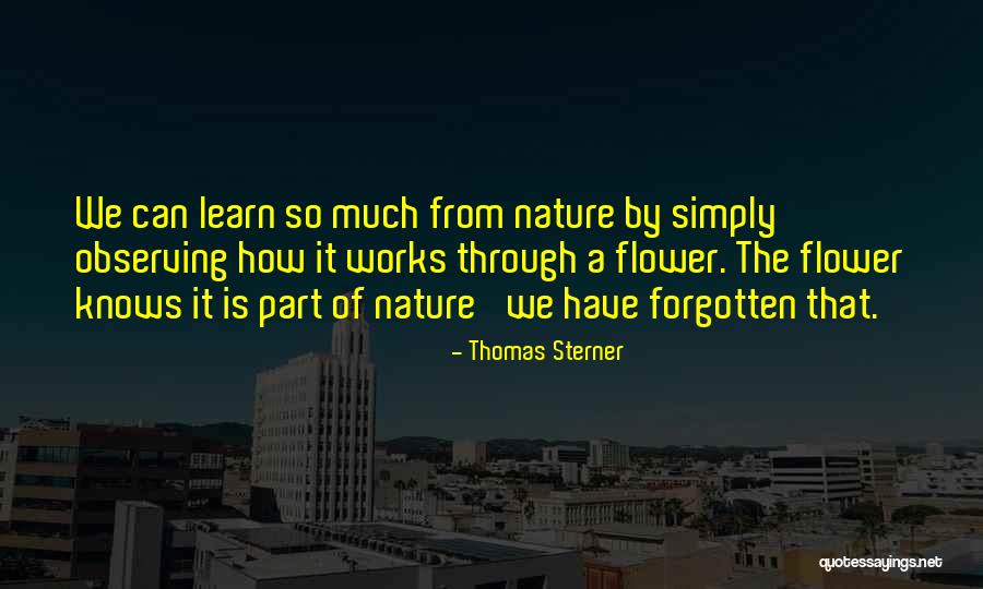 Not Getting Everything Handed To You Quotes By Thomas Sterner Not Getting Everything Handed To You Quotes By Thomas Sterner