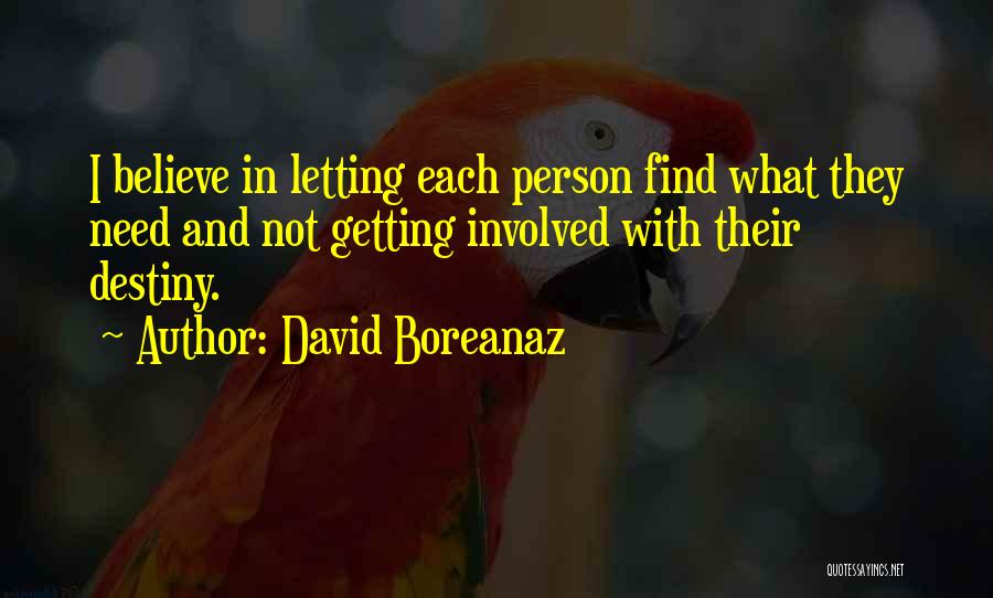Not Getting Involved Quotes By David Boreanaz