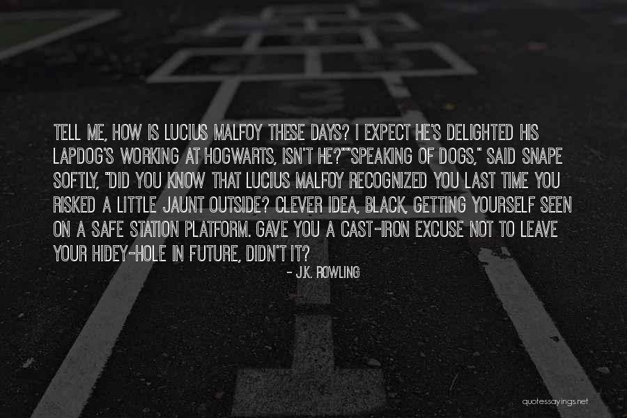 Not Getting Recognized Quotes By J.K. Rowling Not Getting Recognized Quotes By J.K. Rowling