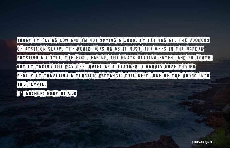 Not Getting Sleep Quotes By Mary Oliver