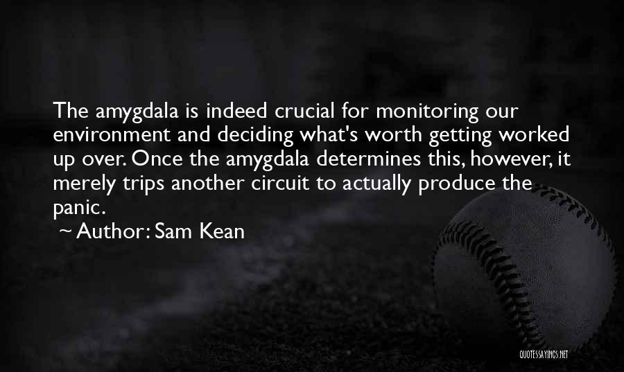 Not Getting Worked Up Quotes By Sam Kean