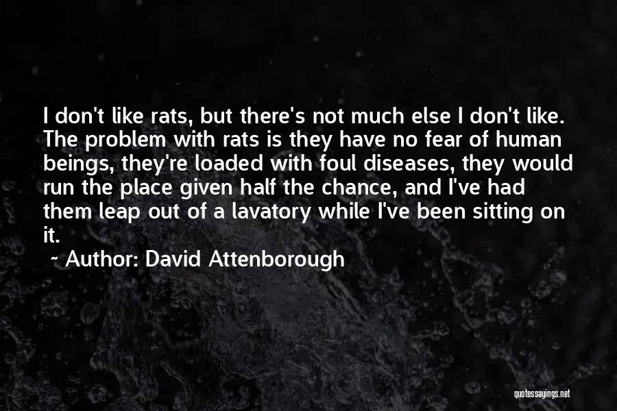 Not Given A Chance Quotes By David Attenborough