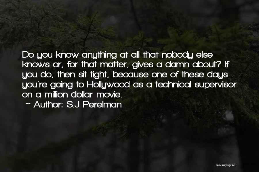 Not Giving A Damn About Him Quotes By S.J Perelman