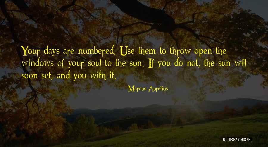 Not Giving In Quotes By Marcus Aurelius