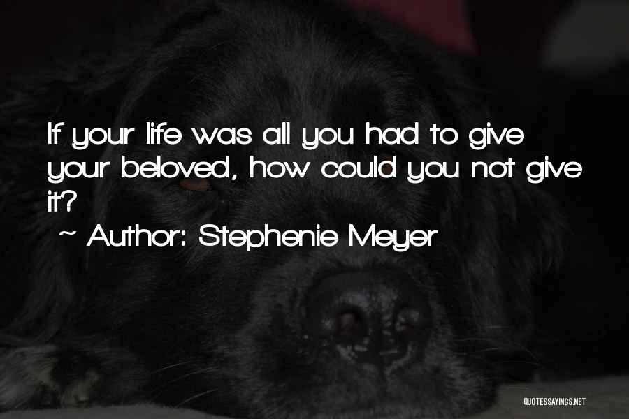 Not Giving It Your All Quotes By Stephenie Meyer