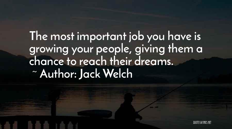 Not Giving Up On Dreams Quotes By Jack Welch
