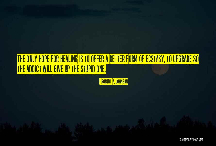 Not Giving Up On Hope Quotes By Robert A. Johnson Not Giving Up On Hope Quotes By Robert A. Johnson