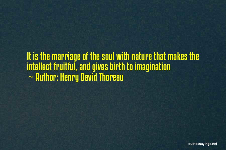 Not Giving Up On Marriage Quotes By Henry David Thoreau