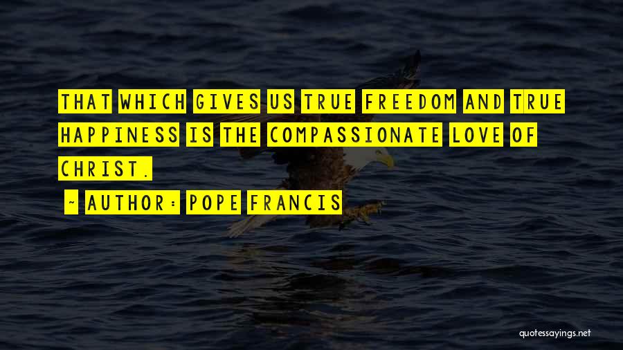 Not Giving Up On True Love Quotes By Pope Francis