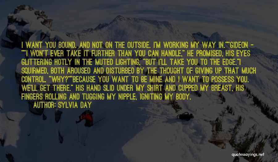 Not Giving Up On Working Out Quotes By Sylvia Day