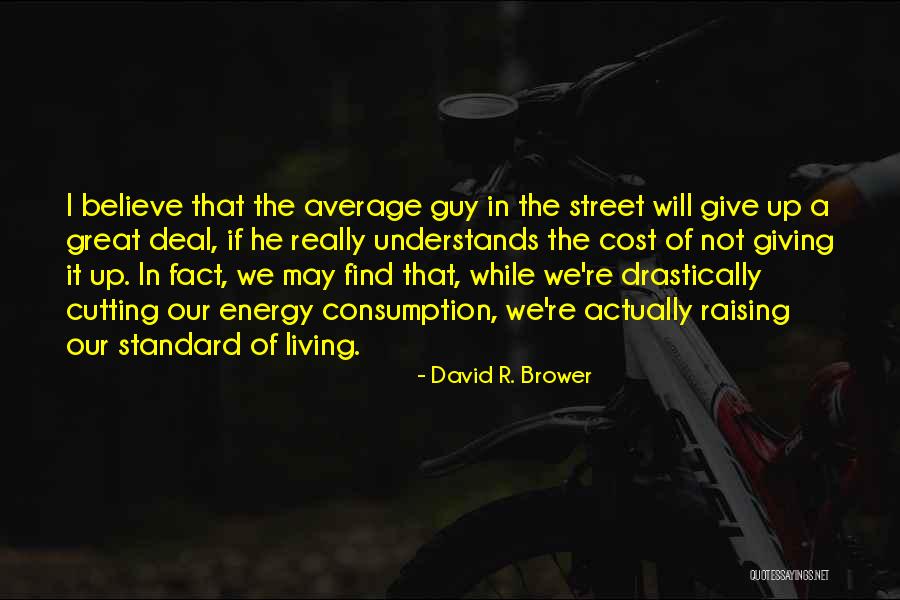 Not Giving Up Quotes By David R. Brower