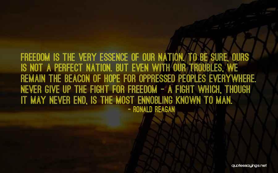 Not Giving Up The Fight Quotes By Ronald Reagan