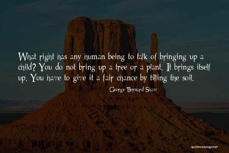 Not Giving You Up Quotes By George Bernard Shaw Not Giving You Up Quotes By George Bernard Shaw