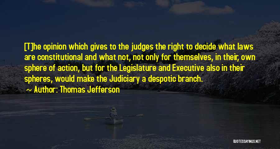 Not Giving Your Opinion Quotes By Thomas Jefferson