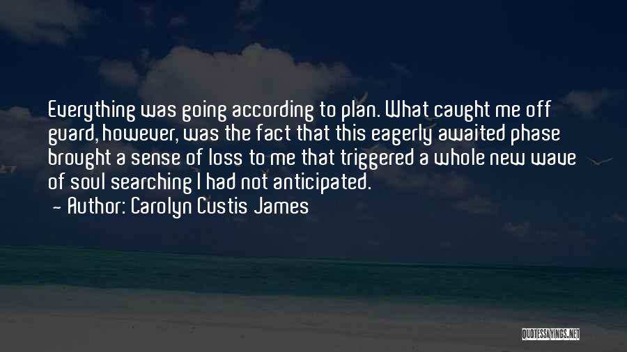 Not Going According To Plan Quotes By Carolyn Custis James