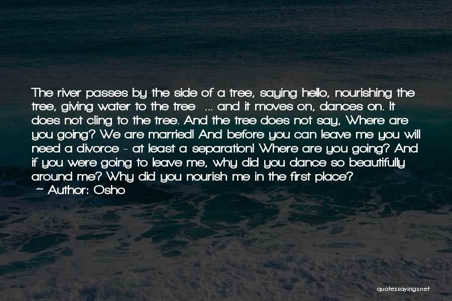 Not Going To Leave You Quotes By Osho