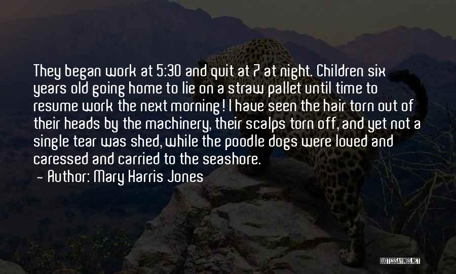 Not Going To Work Quotes By Mary Harris Jones