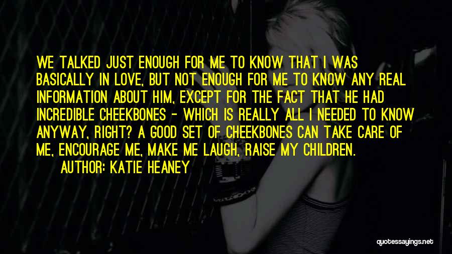 Not Good Enough For Him Quotes By Katie Heaney