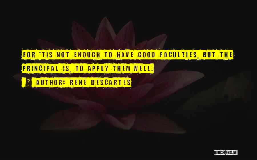 Not Good Enough Quotes By Rene Descartes