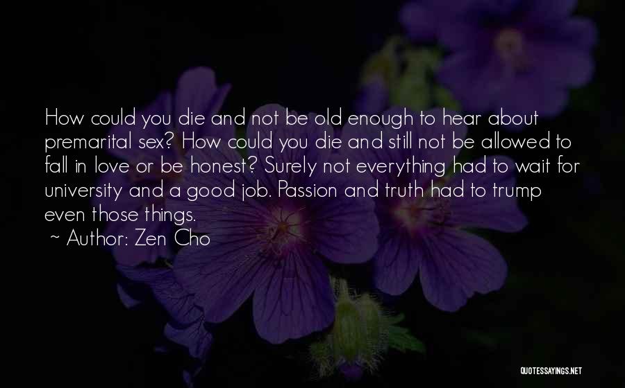 Not Good Enough To Love Quotes By Zen Cho
