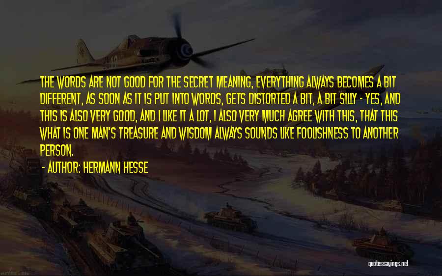 Not Good Person Quotes By Hermann Hesse