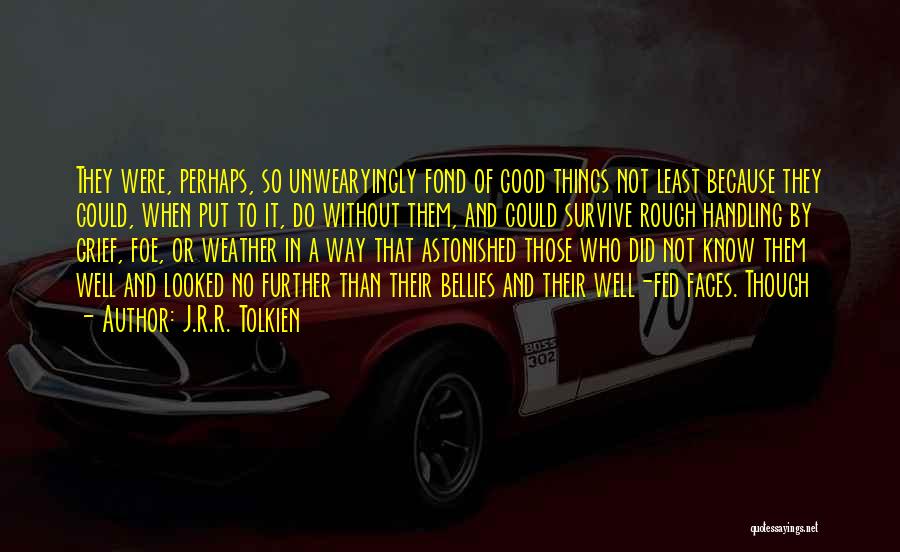 Not Good Weather Quotes By J.R.R. Tolkien