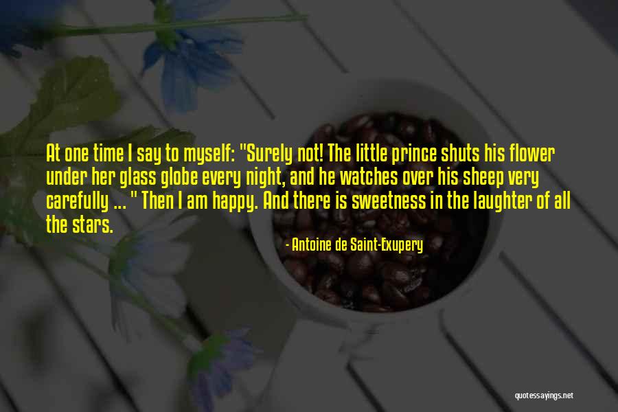 Not Happy At All Quotes By Antoine De Saint-Exupery