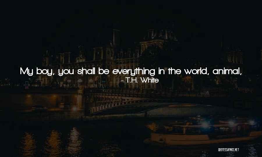 Not Have A Care In The World Quotes By T.H. White Not Have A Care In The World Quotes By T.H. White