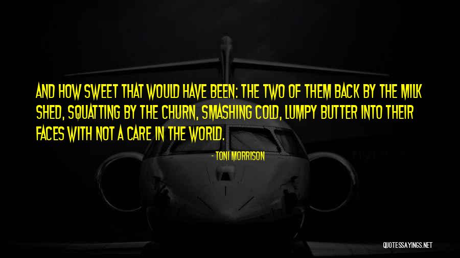 Not Have A Care In The World Quotes By Toni Morrison Not Have A Care In The World Quotes By Toni Morrison