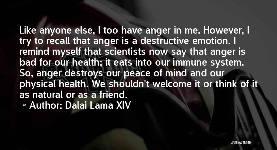 Not Having A Bad Attitude Quotes By Dalai Lama XIV