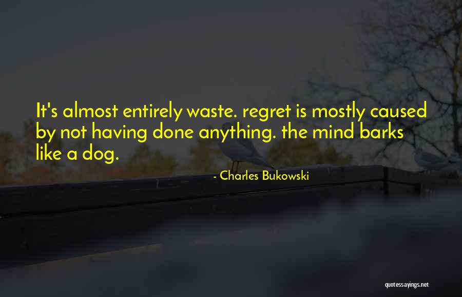 Not Having A Dog Quotes By Charles Bukowski Not Having A Dog Quotes By Charles Bukowski