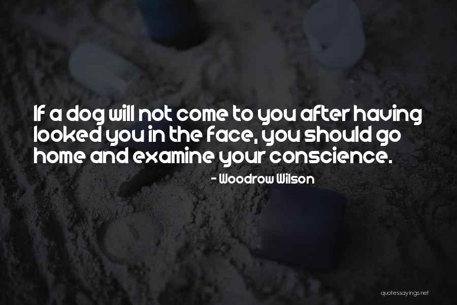 Not Having A Dog Quotes By Woodrow Wilson Not Having A Dog Quotes By Woodrow Wilson