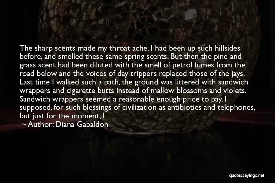 Not Having Enough Time In The Day Quotes By Diana Gabaldon