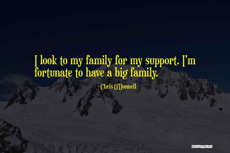 Not Having Family Support Quotes By Chris O'Donnell Not Having Family Support Quotes By Chris O'Donnell