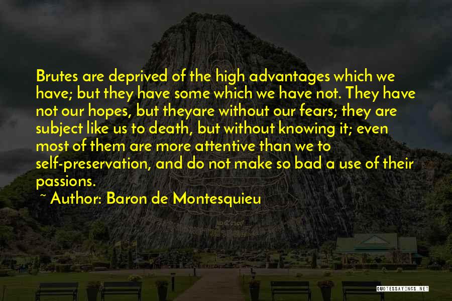 Not Having High Hopes Quotes By Baron De Montesquieu